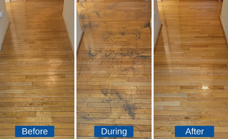 Floor Wax Removal